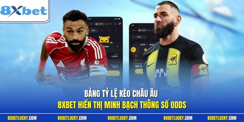 Bảng tỷ lệ kèo châu Âu 8XBET hiển thị minh bạch thông số odds