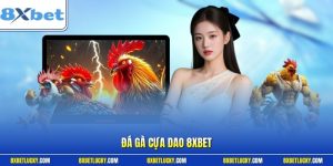 Đá gà cựa dao 8XBET