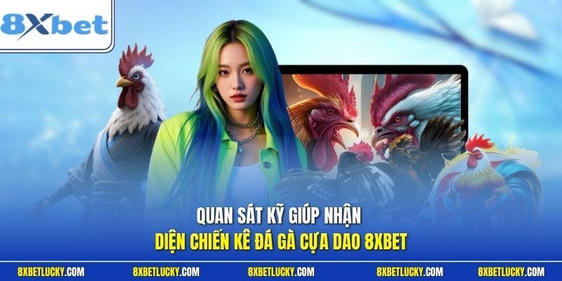 Quan sát kỹ giúp nhận diện chiến kê đá gà cựa dao 8XBET