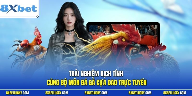 Trải nghiệm kịch tính cùng bộ môn đá gà cựa dao trực tuyến